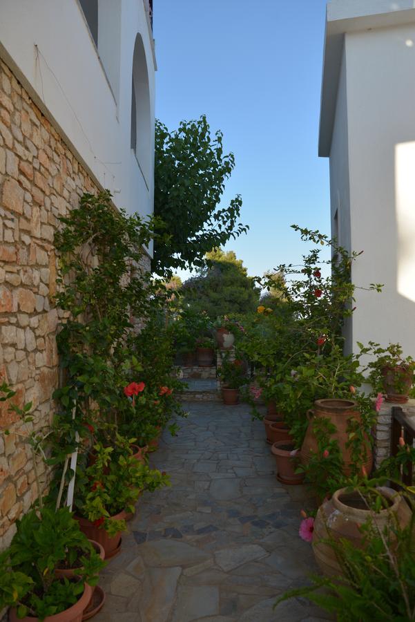 Pension Andromeda Patitírion Exteriér fotografie